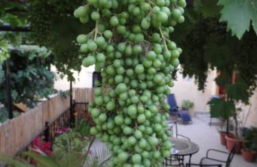 House Klimataria Kamilari - Photo 9