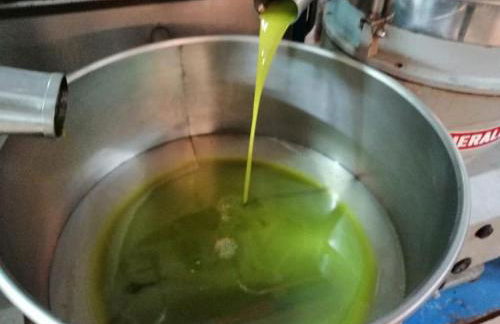 Timpa Bianca - Foto 36