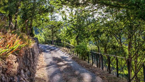 Residence Menotre - Foto 5, Garden