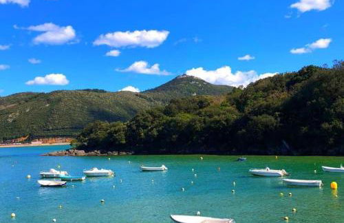 Sokaire de Urdaibai junto a Mundaka - Foto 23