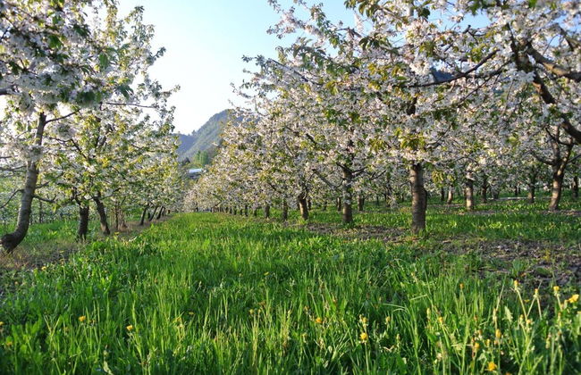 Agriturismo Bortolotti - Photo 72