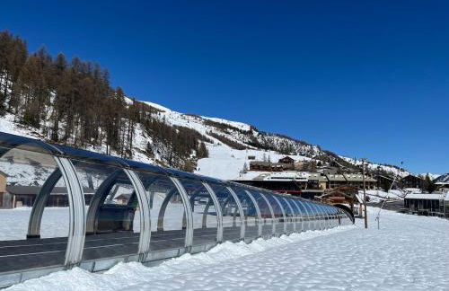 Midori T3 77 m2 - Foto 19