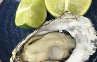 Rancho Caiçara - Photo 44