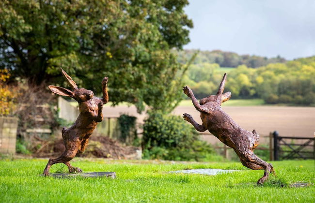 Charming Cottage for 10 in Heart of South Downs - Foto 45