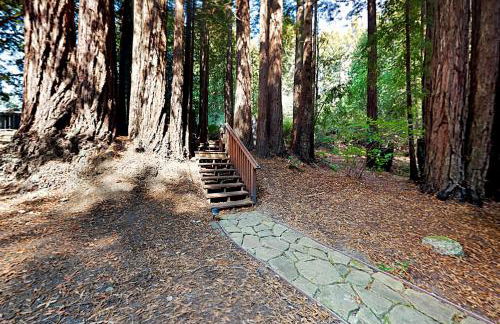 Wagging Woods - Foto 25