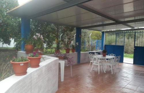 CASA DA ALDEIA - Ponte de Sor (Alentejo) - Foto 12