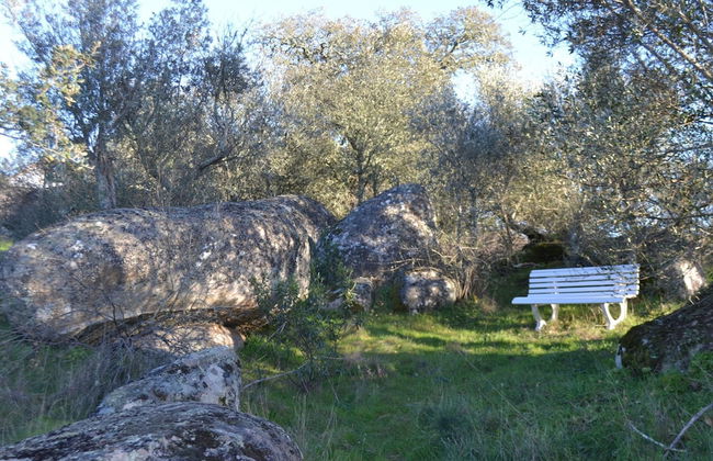 Tranquil Alentejo Villa With Pool - Foto 29