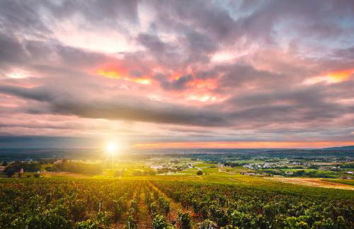 Fleurie Appartement T2 - Foto 16