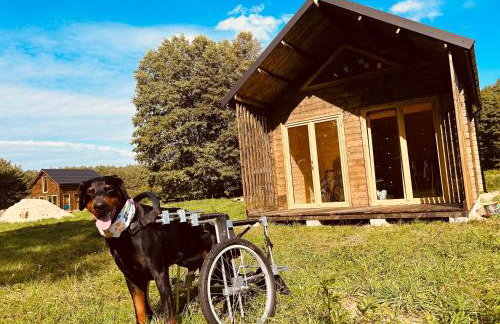 aResowa Wioska - Foto 1