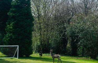 Stillmeadow - Foto 26