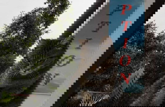 Relais BB Pacengo - Foto 41