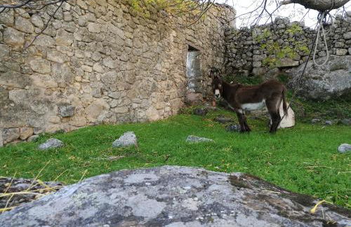 El Balcon de Los Sueños - Foto 39