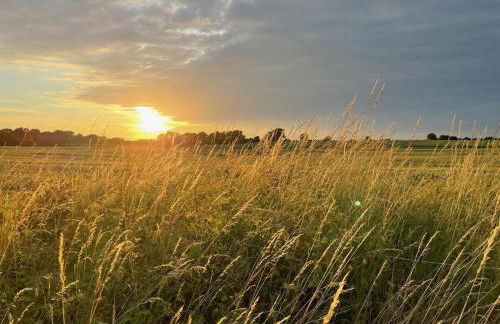 Holiday home "Treehouse" - Foto 6