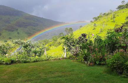 Flat 305 hotel Fazenda Engenho Pedra do Rodeadouro - Foto 9