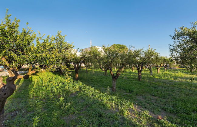 1755 Casina Farnarari - Appartamento 1 by Barbarhouse - Foto 34