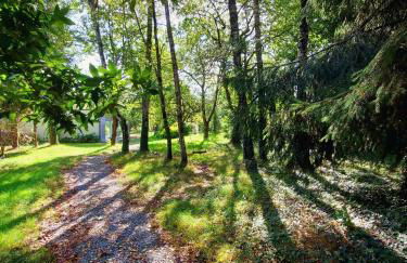 Le nid dans le chêne - Photo 7