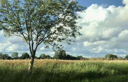 Holiday apartment 2 in the Maaßen country house - Foto 28