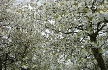 Apartment am Lühedeich - Foto 23