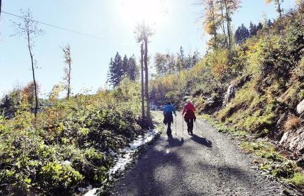 Landhaus Falkennest - Foto 7