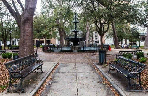 Dauphin District Darling #4 Downtown, Dining - Photo 26