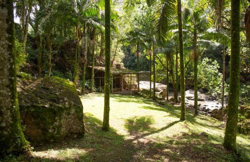 Canto da cascata - Foto 50