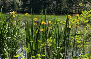 Chez natalli - Foto 23