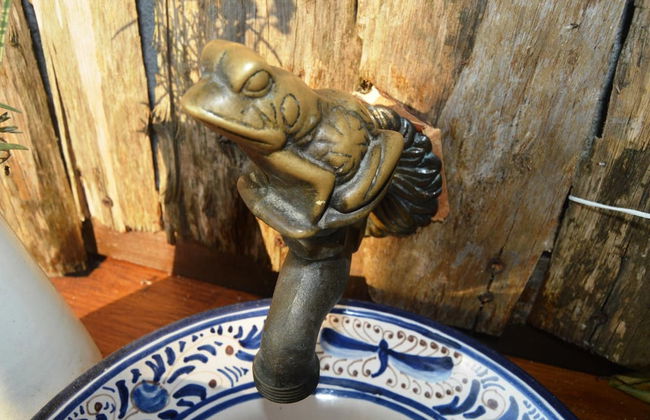 Gailurretan - Photo 42