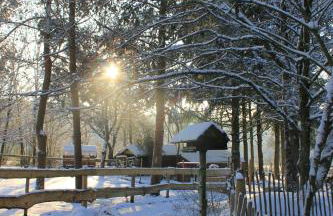 Eifelhüttchen Rotkehlchen - Foto 7
