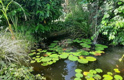 Suite Stuermer - Foto 56