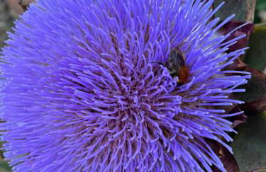 Location en bordure du Trieux - Foto 22