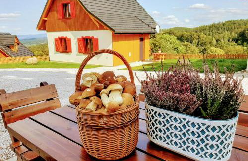 Kolorowe Karkonosze - Foto 26