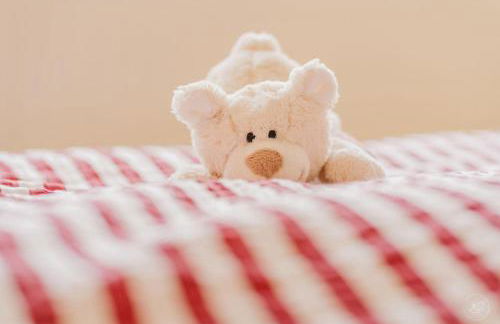 Kaminhaus 3 Fehmarn mit Sauna und Kamin - Foto 20