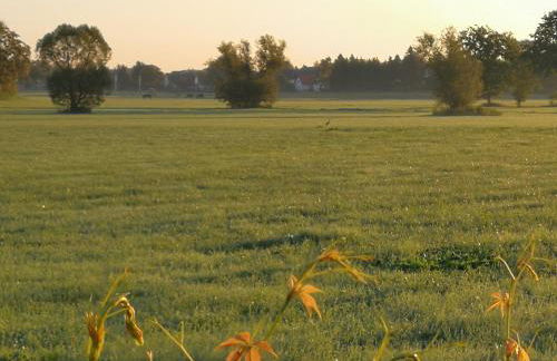 Doberschützer Hof - Foto 46