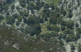 La casuca de cuñaba - Foto 10