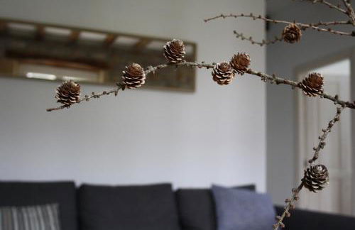 Eguzkilorea - Foto 1