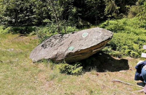 Ferienwohnung für Familien im Bayrischen Wald - Foto 18