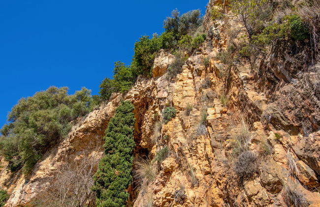 Vista Halcon - Foto 33