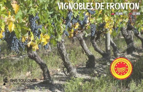 ORBIS - "Le Chic Castel'nid" - Clim - Parking - Terrasse - WiFi - Foto 29