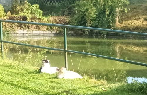 Waitzdorfer Landhaus Pieper - Foto 43