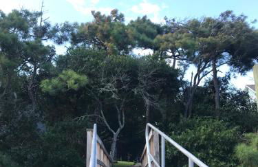 Cottage by the Sea: Pagnotto Shellback House - Foto 63