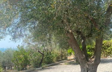 La Villa nel Parco Manfredi Homes&Villas - Foto 47