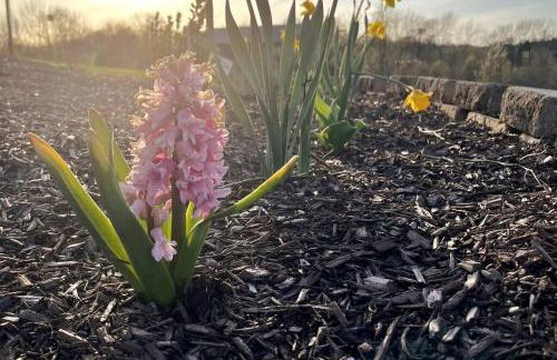 #4 Kentucky Bourbon Trail Bourbon Barrel Cottages - Foto 24
