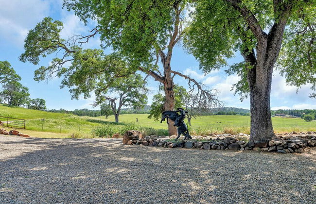 Paradise Valley - Foto 47