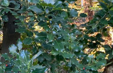 La mia casa sul lago con vista mozzafiato - Foto 56