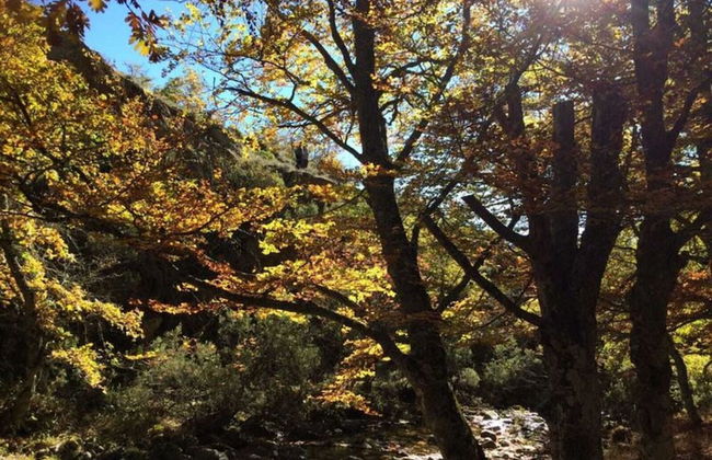 Belvilla by OYO Single Chalet en La Adrada - Foto 58