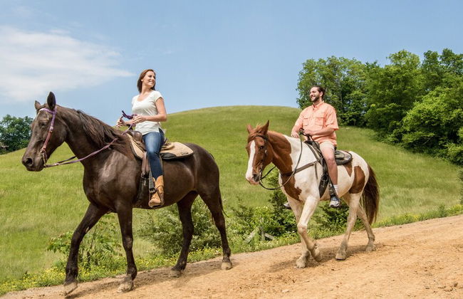 Tennessee Dream - Foto 41