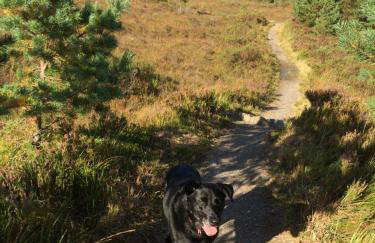 The Pines Self-catering cottage,Wester Ross, Scotland - Foto 23