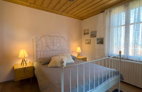 Renovated Old Manor House With Yard - Photo 5