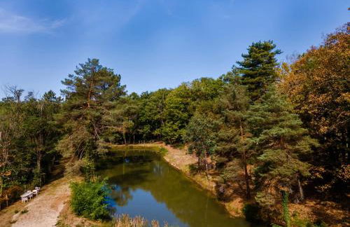 Gite 3 de l'Orée du Bois - Foto 23