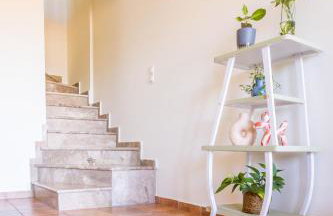 Strix Aluco Kalavryta - Foto 18